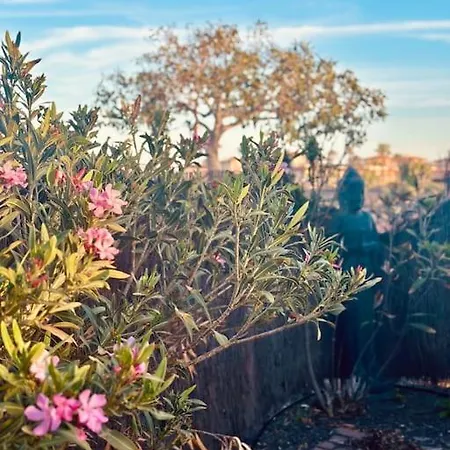 Amida * לאחארס